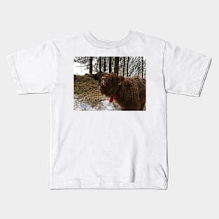 Scottish Highland Cattle Calf 1631 Kids T-Shirt